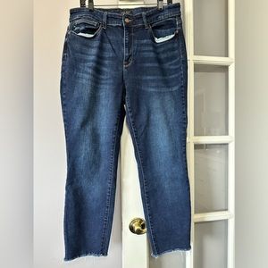 Judy Blue skinny jeans